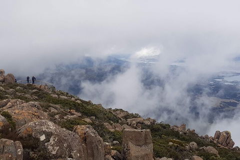 Mt. Wellington Morning Hike + Afternoon Beer & History Walk - Accommodation Resorts 18