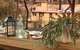 4 Night Upper Murray River Explorer Cruise - PS Emmylou - thumb 3