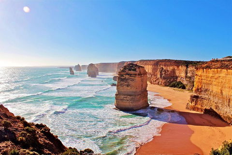 LGBT+ Friendly 12-Hour Great Ocean Road Private Tour - Accommodation Resorts 5