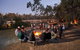 3 Night Upper Murray River Discovery Cruise - PS Emmylou - thumb 4