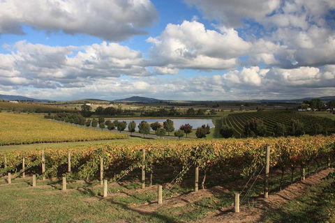 LGBT+ Friendly Full Day Yarra Valley & Dandenong Ranges Private Tour - Accommodation Resorts 0