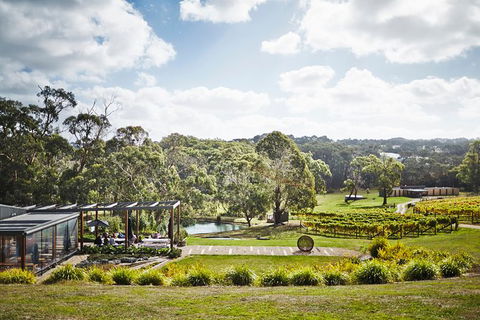 Mornington Peninsula 2-6 Guests Lunch, Wine And Pt Leo Estate Art Walk - Accommodation Resorts 2