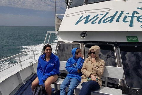 Phillip Island Penguin And Wildlife Tour - Accommodation Resorts 15