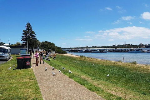 Phillip Island Penguin And Wildlife Tour - Accommodation Resorts 25