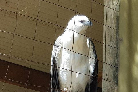 Phillip Island Penguin And Wildlife Tour - Accommodation Resorts 21