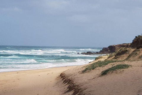 Phillip Island Penguin And Wildlife Tour - Accommodation Resorts 10