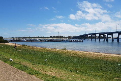 Phillip Island Penguin And Wildlife Tour - Accommodation Resorts 24