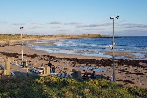 Phillip Island Penguin And Wildlife Tour - Accommodation Resorts 8