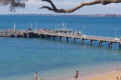 Phillip Island Penguin And Wildlife Tour - Accommodation Resorts 2