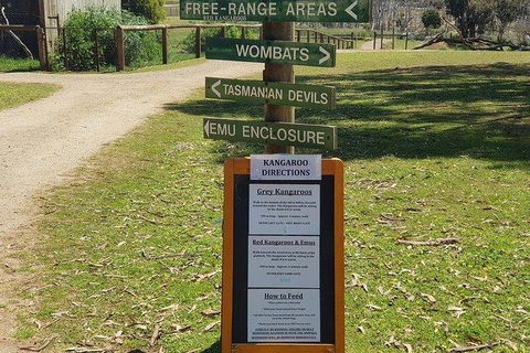 Phillip Island Penguin And Wildlife Tour - Accommodation Resorts 4