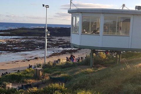 Phillip Island Penguin And Wildlife Tour - Accommodation Resorts 33