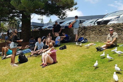 Phillip Island Penguin And Wildlife Tour - Accommodation Resorts 22