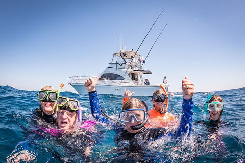 Life On Ningaloo Swimming Tour In Exmouth - Accommodation Resorts 4