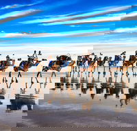 Broome Pre-sunset Camel Tour 30 minutes - Accommodation Resorts