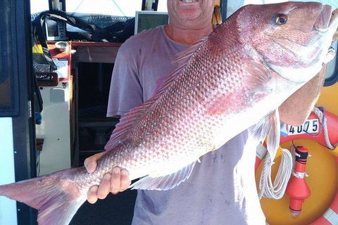Geraldton Fishing Charter - Accommodation Resorts 10