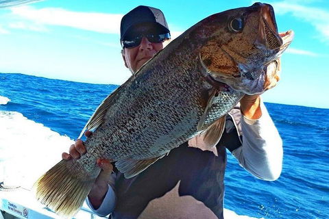 Geraldton Fishing Charter - Accommodation Resorts 4