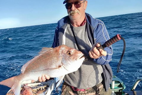 Geraldton Fishing Charter - Accommodation Resorts 8