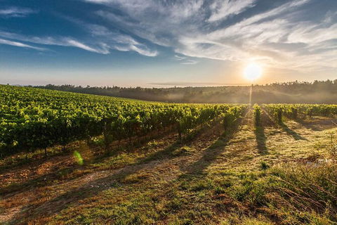 Perth To Margaret River Wine Tour - 2 Day Premium Boutique Wine Tour Experience - Accommodation Resorts 0