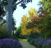 Albury Botanic Garden - Accommodation Resorts