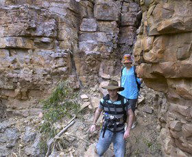 Accommodation Resorts