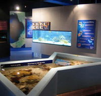 Marine and Freshwater Discovery Centre - Accommodation Resorts