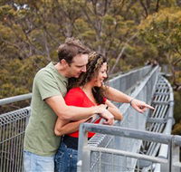 Valley of the Giants Tree Top Walk - Accommodation Resorts