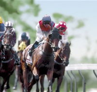 Colac Turf Club - Accommodation Resorts