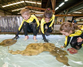 Dandenong South VIC Accommodation Resorts