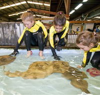 Australian Shark and Ray Centre - Accommodation Resorts