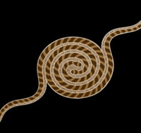 Original  Authentic Aboriginal Art - Accommodation Resorts