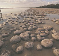 Lake Clifton Thrombolites - Accommodation Resorts