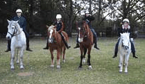 Valhalla Horse Riding - Accommodation Resorts 1
