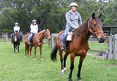 Valhalla Horse Riding - Accommodation Resorts 2