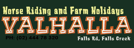 Valhalla Horse Riding - thumb 4