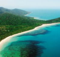 Jungle Tours and Trekking - Accommodation Resorts