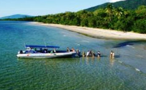 Cape Tribulation QLD Accommodation Resorts