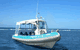 Yongala Dive  - thumb 1