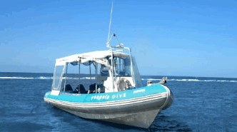 Yongala Dive  - Accommodation Resorts 1