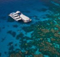 Great Adventures Reef and Green Island Cruises - Accommodation Resorts