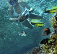 Calypso Reef Charters - Accommodation Resorts