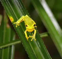 Daintree River Cruise Centre - Accommodation Resorts