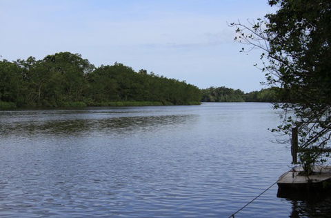 Daintree River Cruise Centre - Accommodation Resorts 2