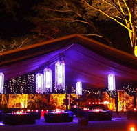 Flames Of The Forest - Accommodation Resorts