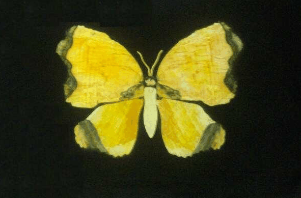 Ashworths - Accommodation Resorts