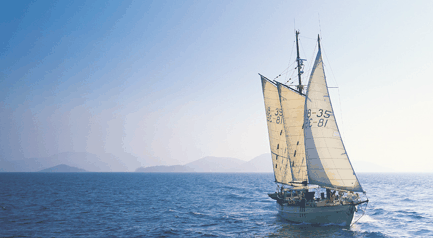 Tallship Adventures - Accommodation Resorts