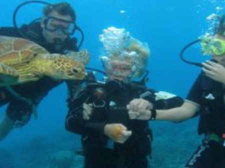 Brinsmead QLD Accommodation Resorts