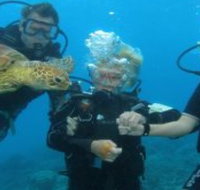 Yardarm Pty Ltd t/a Passions of Paradise - Accommodation Resorts