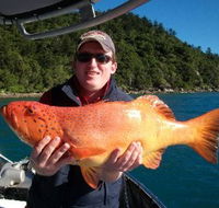Gone Fishing by Coral Sea Fishing Charters Airlie Beach - Accommodation Resorts