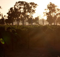 Evans  Tate - Accommodation Resorts