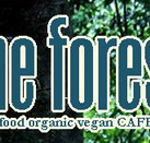 Forest Cafe  Bar - Accommodation Resorts